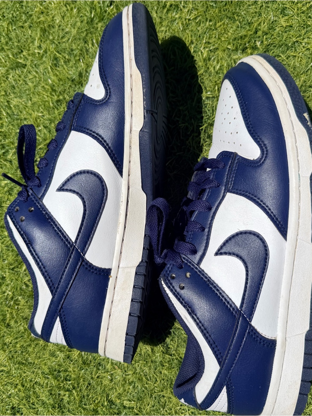 Nike Dunks Blue and White